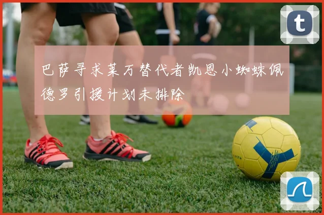 巴萨寻求莱万替代者凯恩小蜘蛛佩德罗引援计划未排除