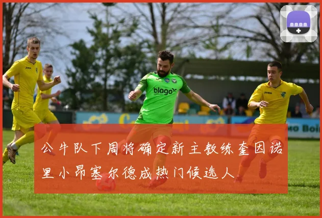 公牛队下周将确定新主教练奎因诺里小昂塞尔德成热门候选人