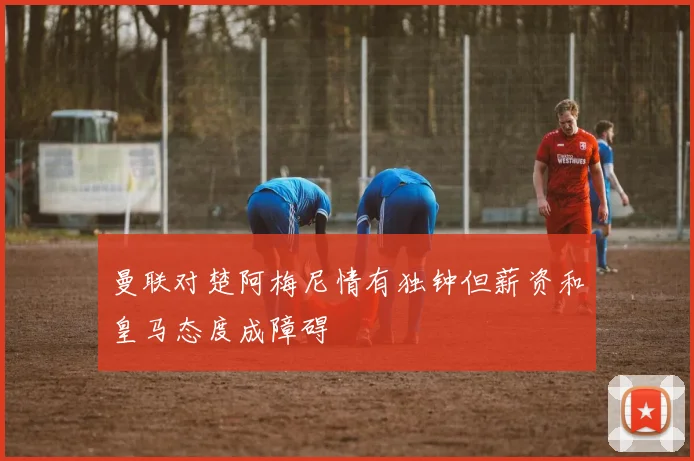 曼联对楚阿梅尼情有独钟但薪资和皇马态度成障碍