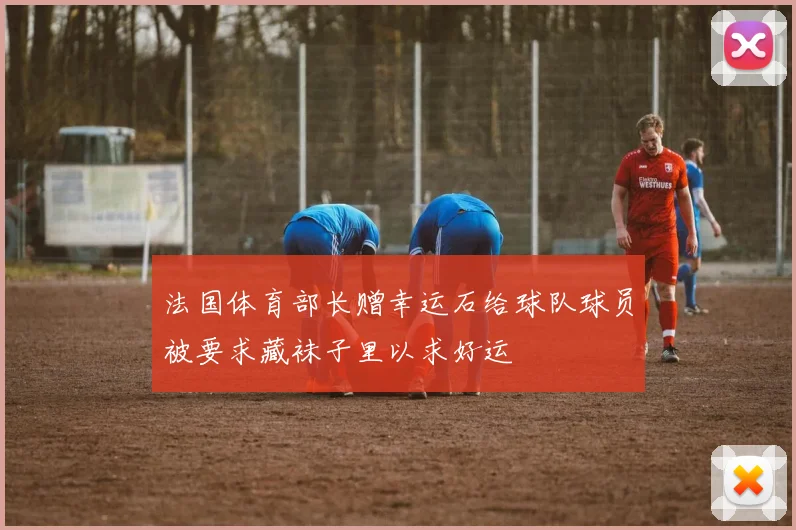 法国体育部长赠幸运石给球队球员被要求藏袜子里以求好运